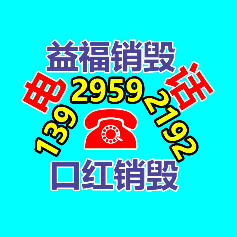 廣州資料銷毀公司：雷軍網友說我不看好智駕是誤解 本人尤其看好